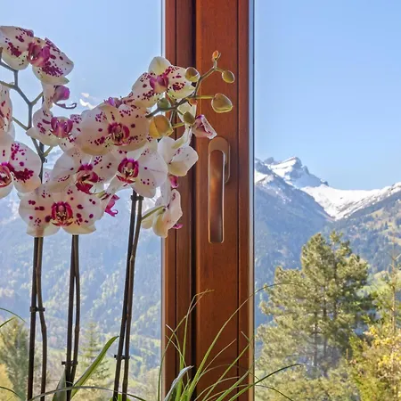 Grand Rustique à Gryon, Avec Vue Et Cheminée