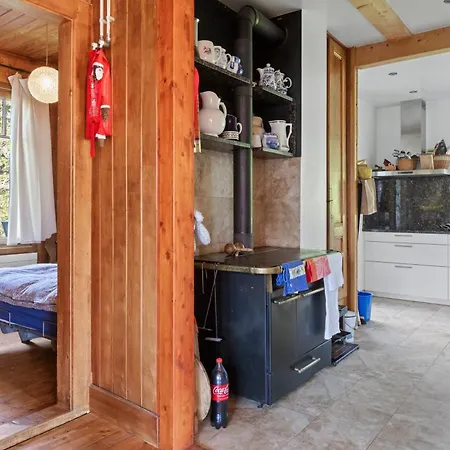 Grand Rustique à Gryon, Avec Vue Et Cheminée Chalé