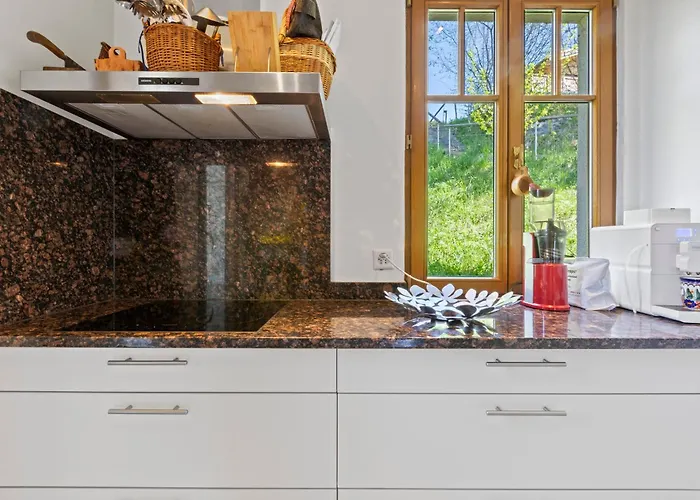 Grand Rustique à Gryon, Avec Vue Et Cheminée Chalet