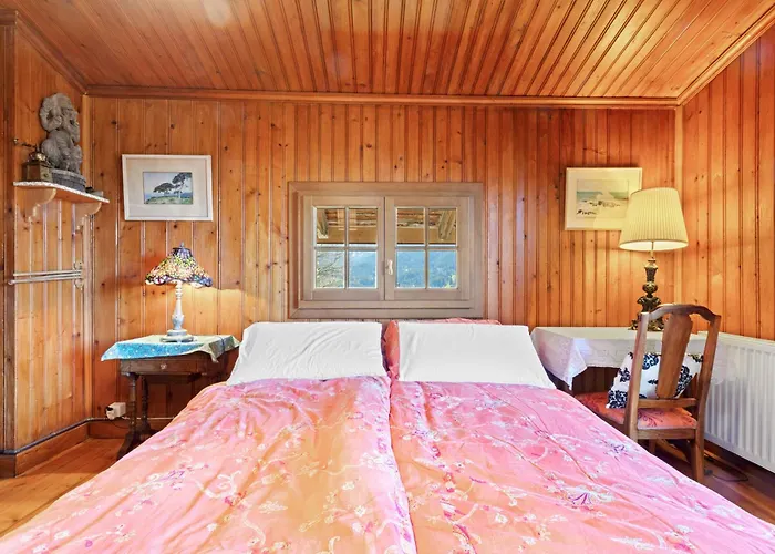 Grand Rustique à Gryon, Avec Vue Et Cheminée Chalet