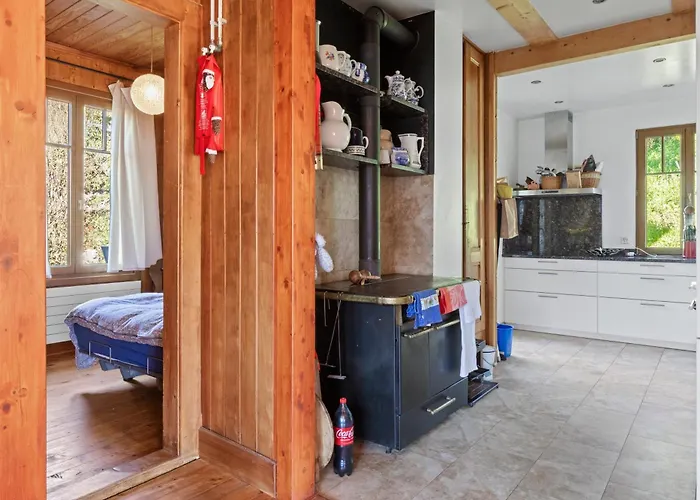 Grand Rustique à Gryon, Avec Vue Et Cheminée Chalet