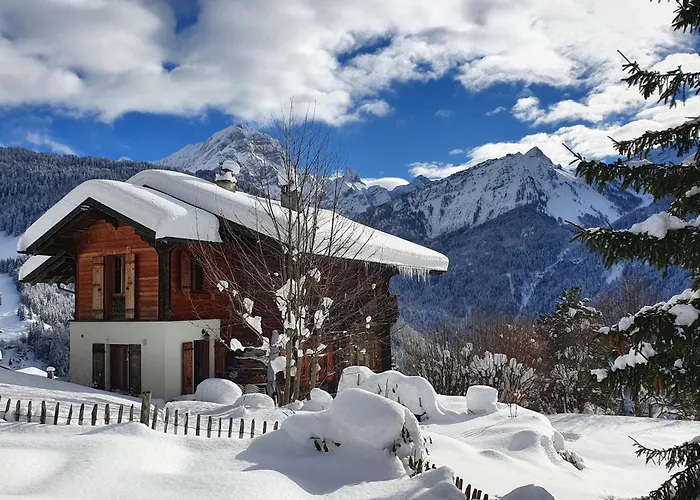 Grand Rustique à Gryon, Avec Vue Et Cheminée Chalet