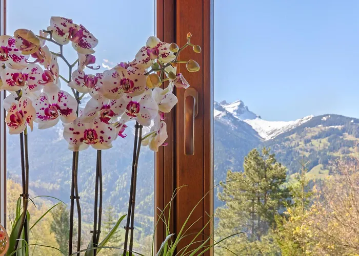 Grand Rustique A Gryon, Avec Vue Et Cheminee